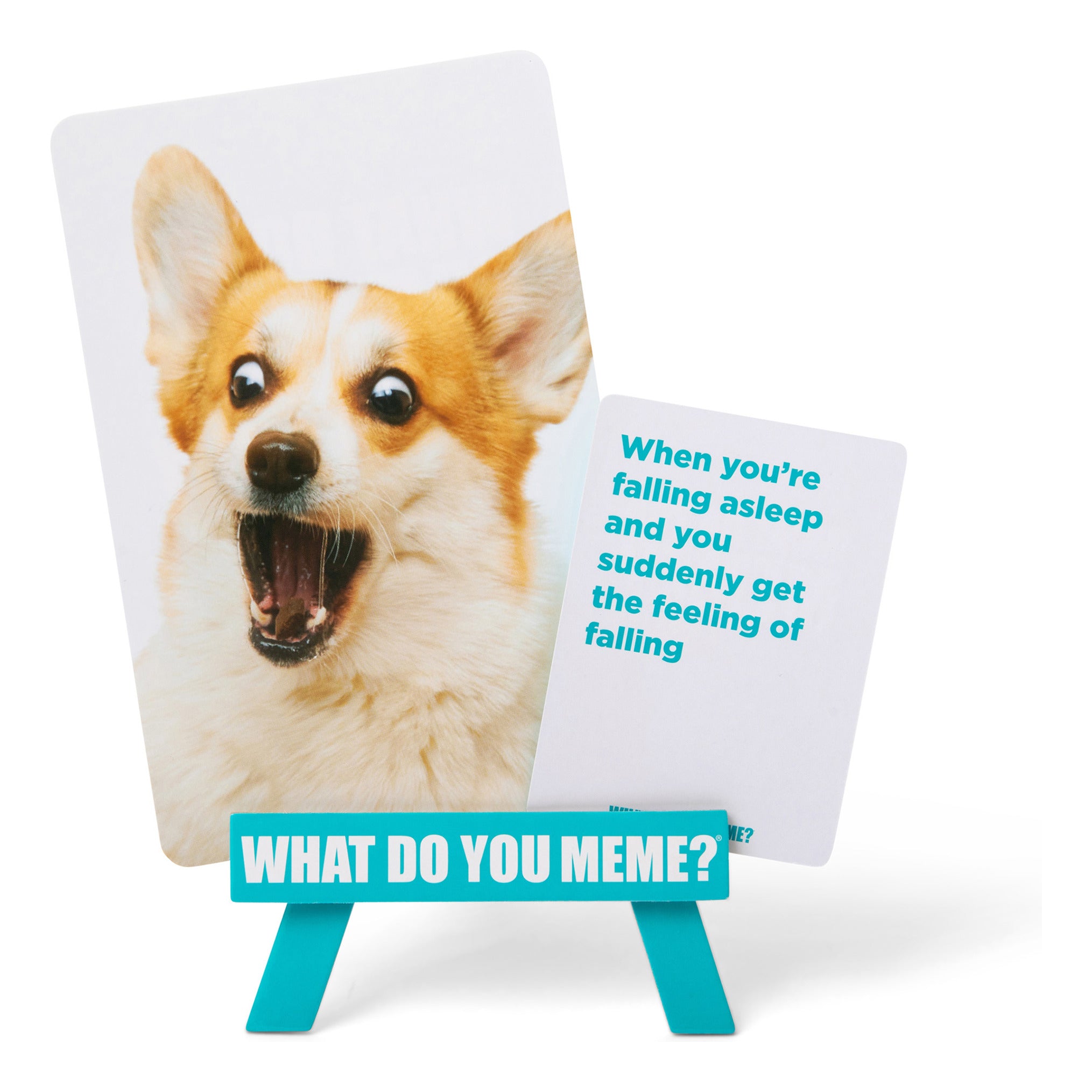 What Do You Meme? Family Edition Family Party Card Game