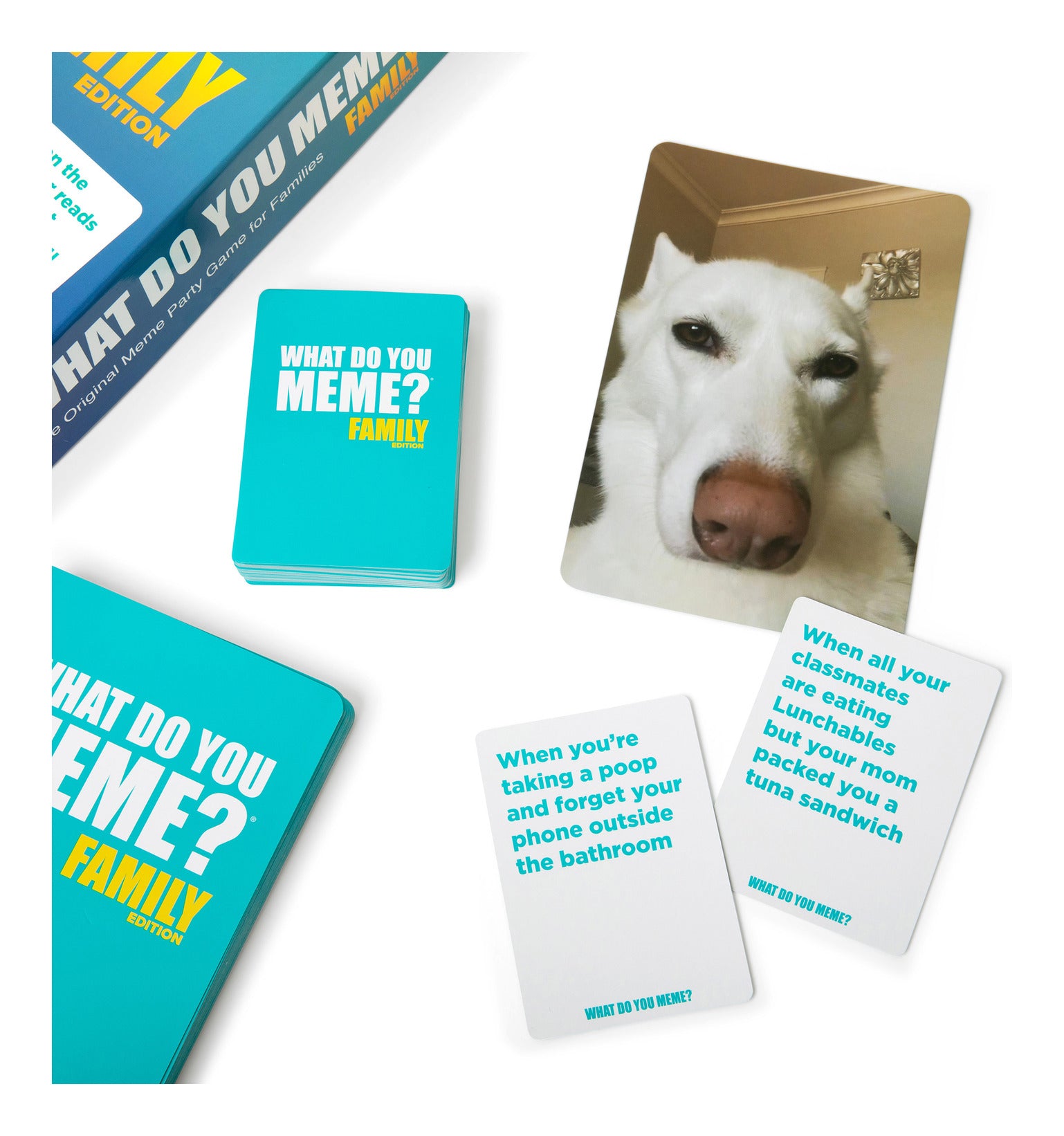 What Do You Meme? Family Edition Family Party Card Game