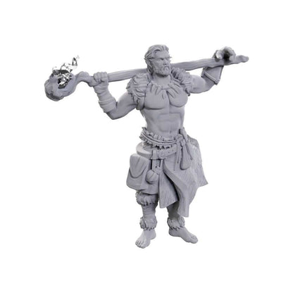D&D Nolzur's Marvelous Unpainted Miniatures: Archdruid & Martial Arts Adept