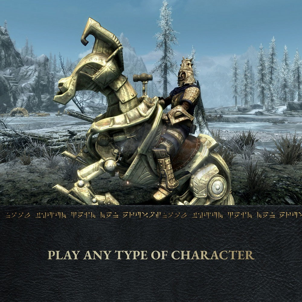 The Elder Scrolls V: Skyrim Anniversary Edition for Nintendo Switch 2 (Code in Box)