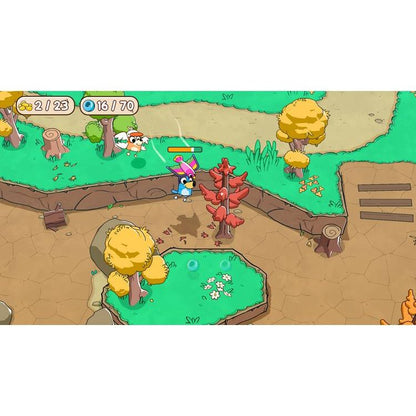Bluey's Quest for the Gold Pen Video Game (Disc)
