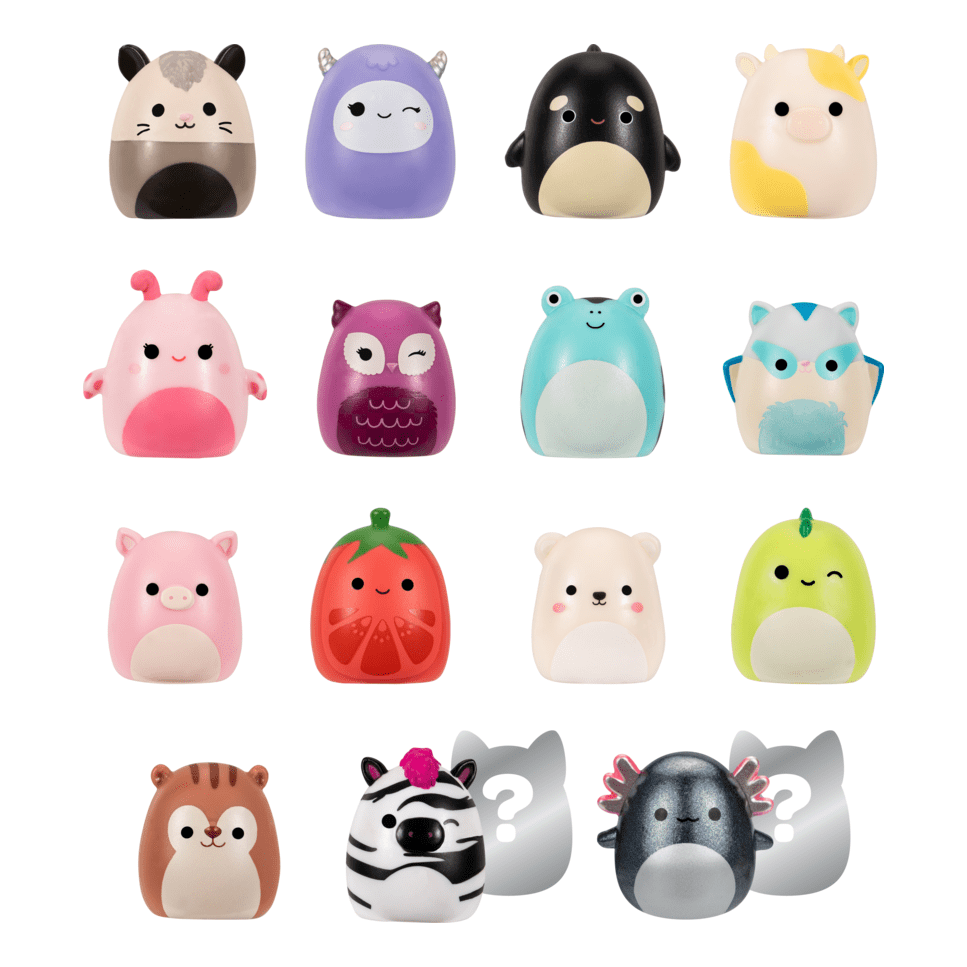 Squish-a-longs by Squishmallows - 14 Pack (Wave 1 Style 2)