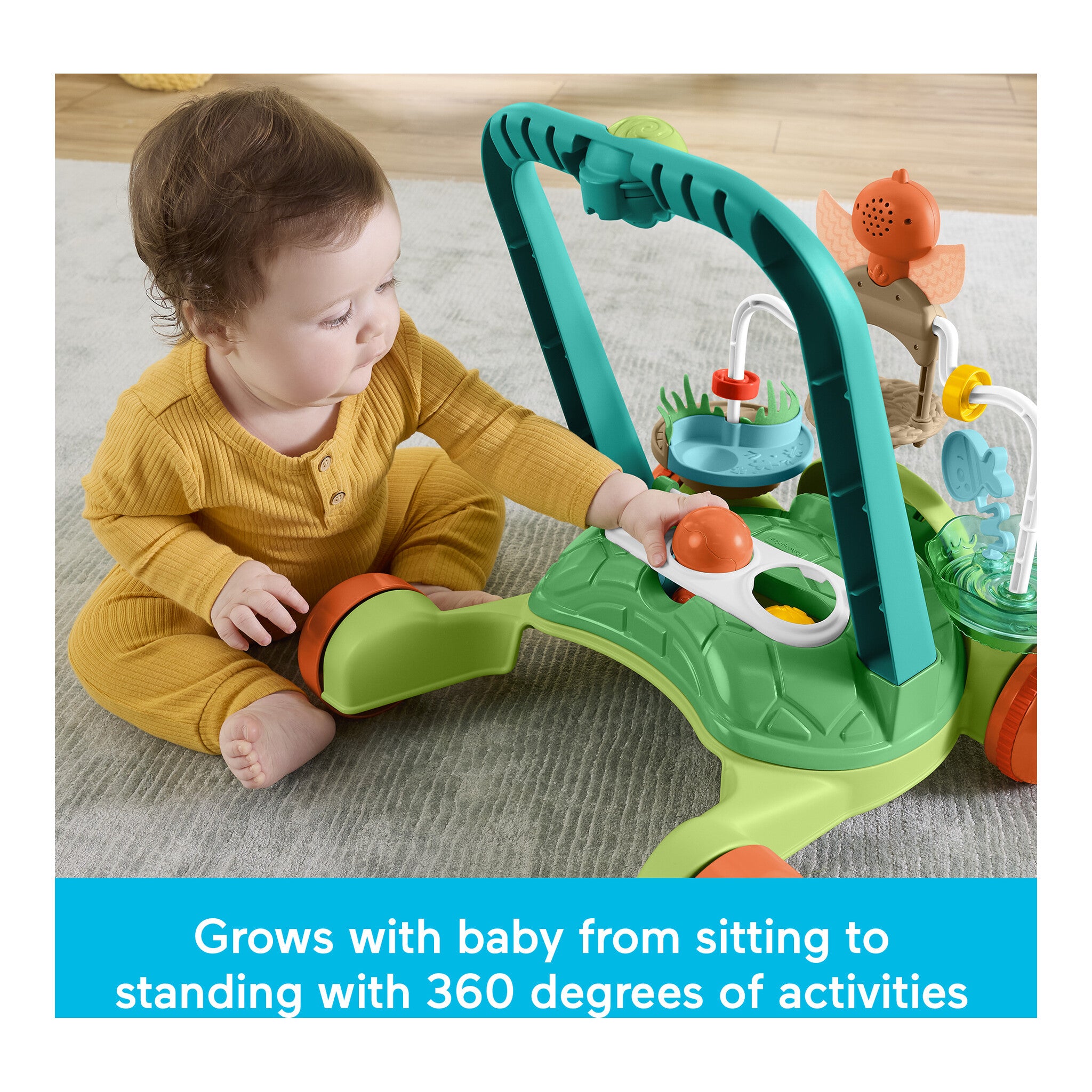 Fisher-Price Moves with You Turtle Walker Activity Push Toy with 5 Balls