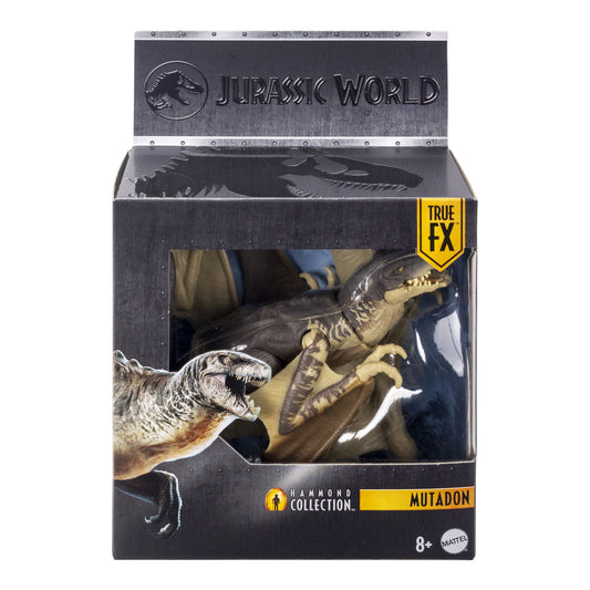 Mattel Jurassic World Hammond Collection Mutadon Dinosaur Figure