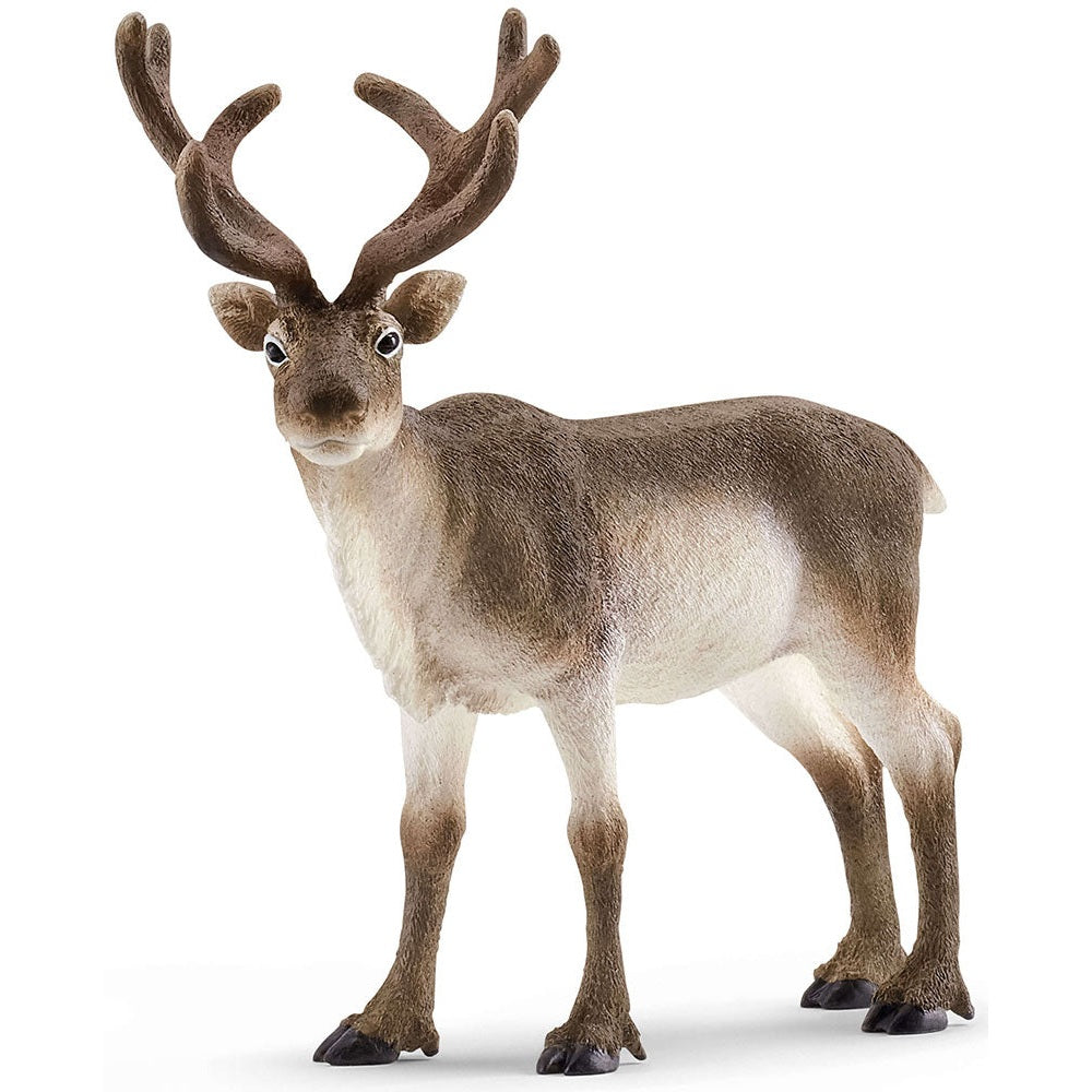 Schleich WILD LIFE Reindeer Animal Figure