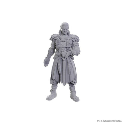 D&D Nolzur's Marvelous Unpainted Miniatures: Special Edition Baldur's Gate 3 – Jaheira & Halsin