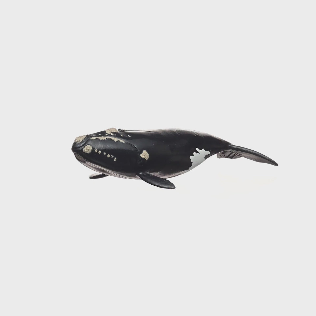 Schleich WILD LIFE North Atlantic Right Whale Figure 14878