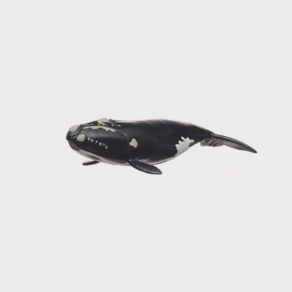 Schleich WILD LIFE North Atlantic Right Whale Figure 14878