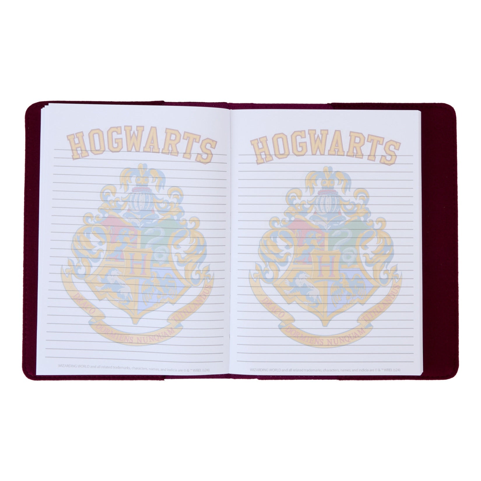 Loungefly - Harry Potter Journal