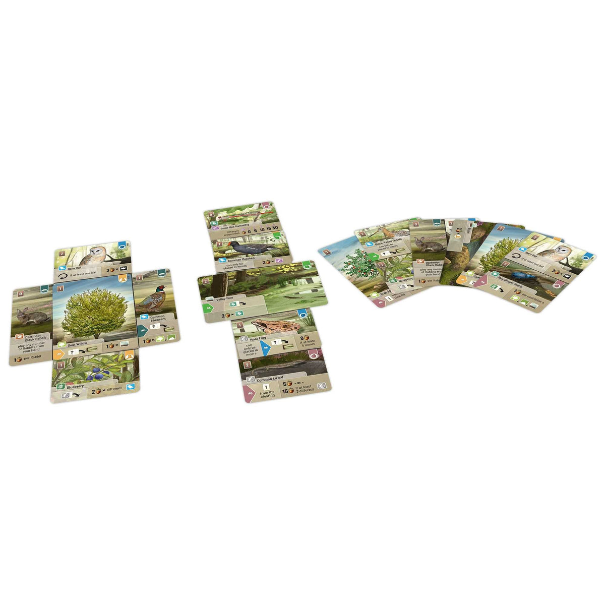 Forest Shuffle: Dartmoor