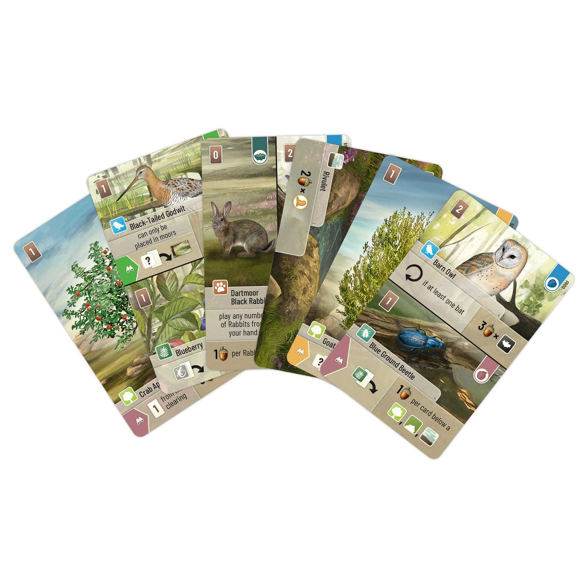 Forest Shuffle: Dartmoor