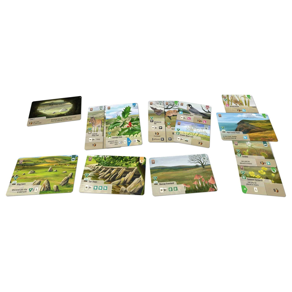 Forest Shuffle: Dartmoor – Exmoor Expansion
