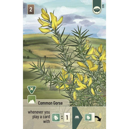 Forest Shuffle: Dartmoor – Exmoor Expansion