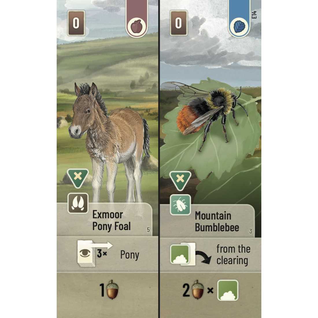 Forest Shuffle: Dartmoor – Exmoor Expansion