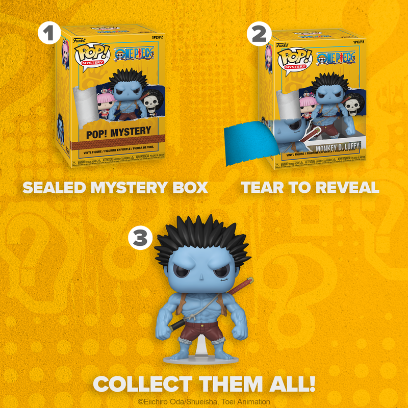 Funko Pop! Vinyl Mystery One Piece (1 in 72 Chance of Chase)