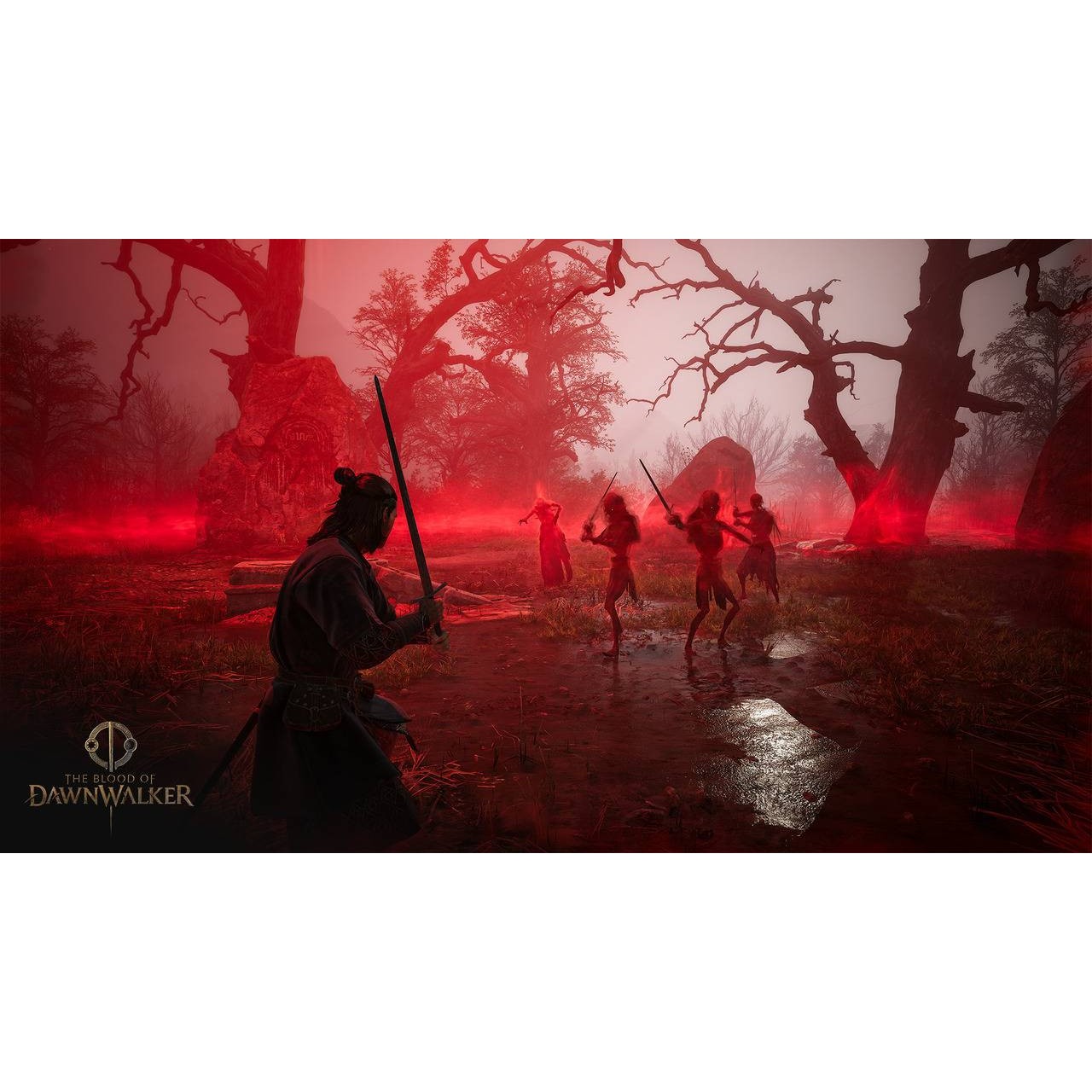 The Blood of Dawnwalker Collector's Edition - Xbox Series X (Disc)