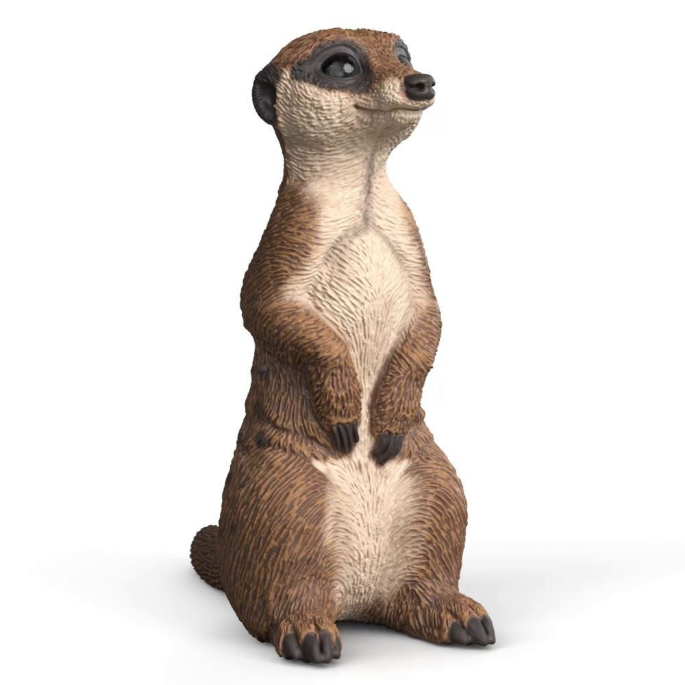 Schleich Wild Life Meerkat Animal Figure