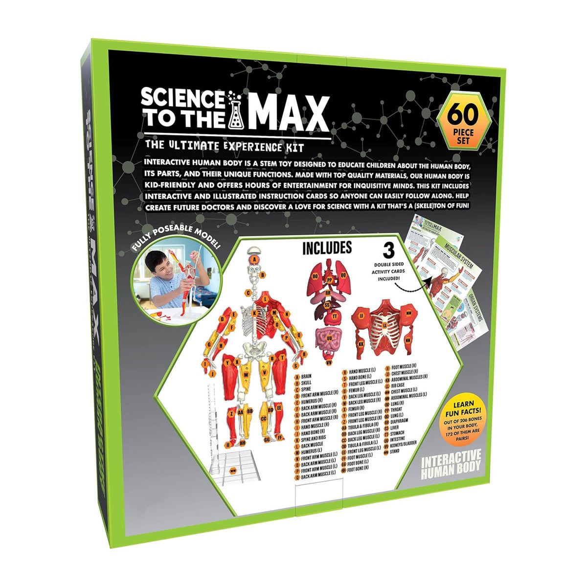 Science to the Max Interactive Human Body 14-Inch Model