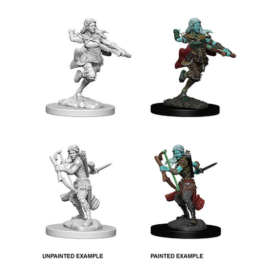 D&D Nolzur’s Marvelous Miniatures: Air Genasi Female Rogue