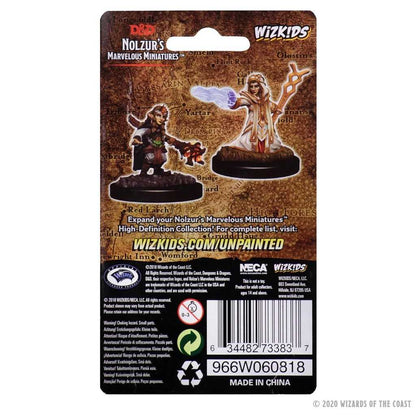 D&D Nolzur's Marvelous Miniatures: Female Gnome Wizard