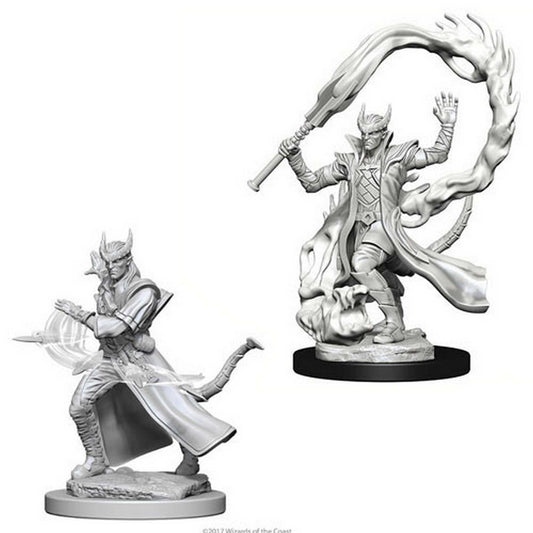 D&D Nolzur's Marvelous Miniatures: Male Tiefling Sorcerer