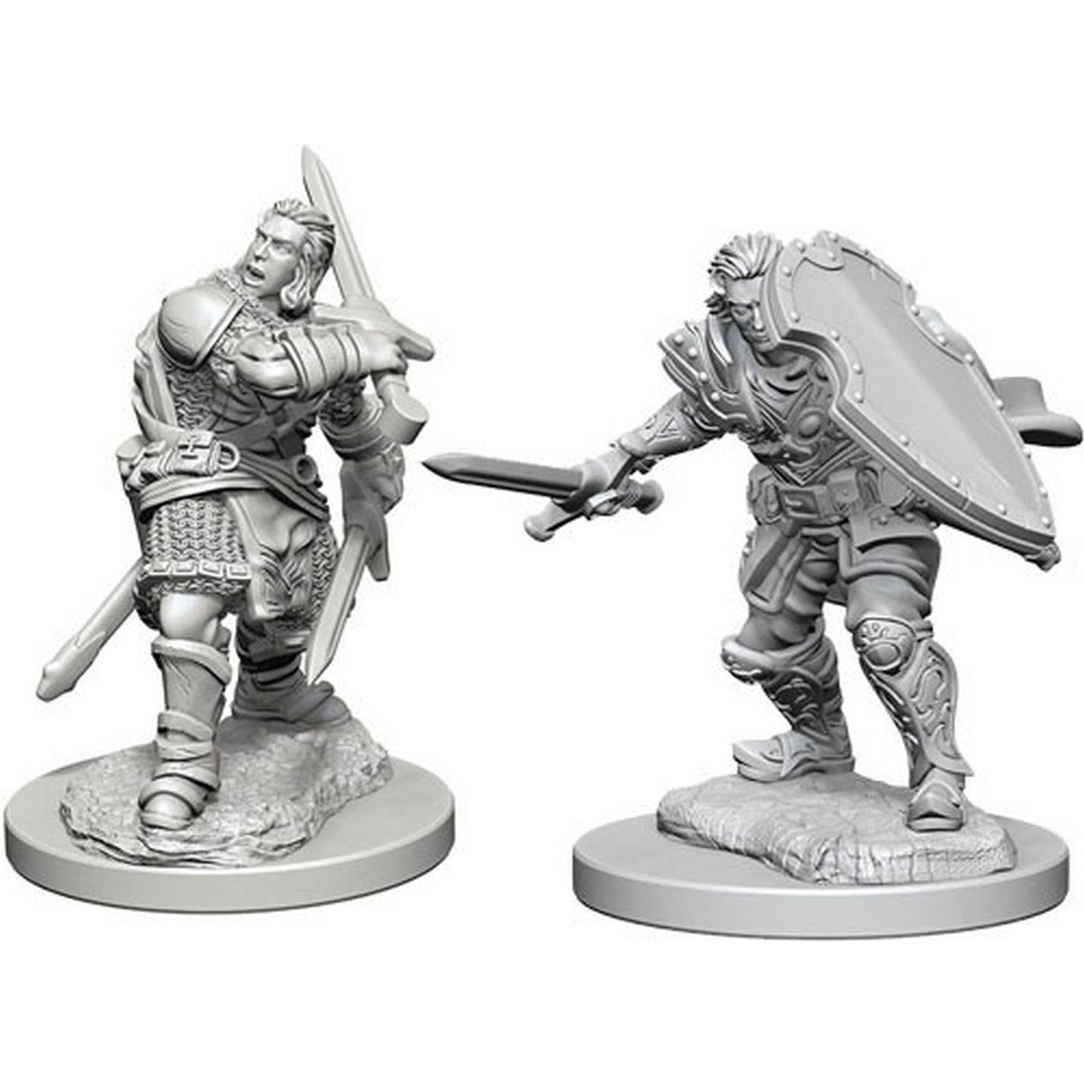 D&D Nolzur's Marvelous Miniatures Male Human Paladin