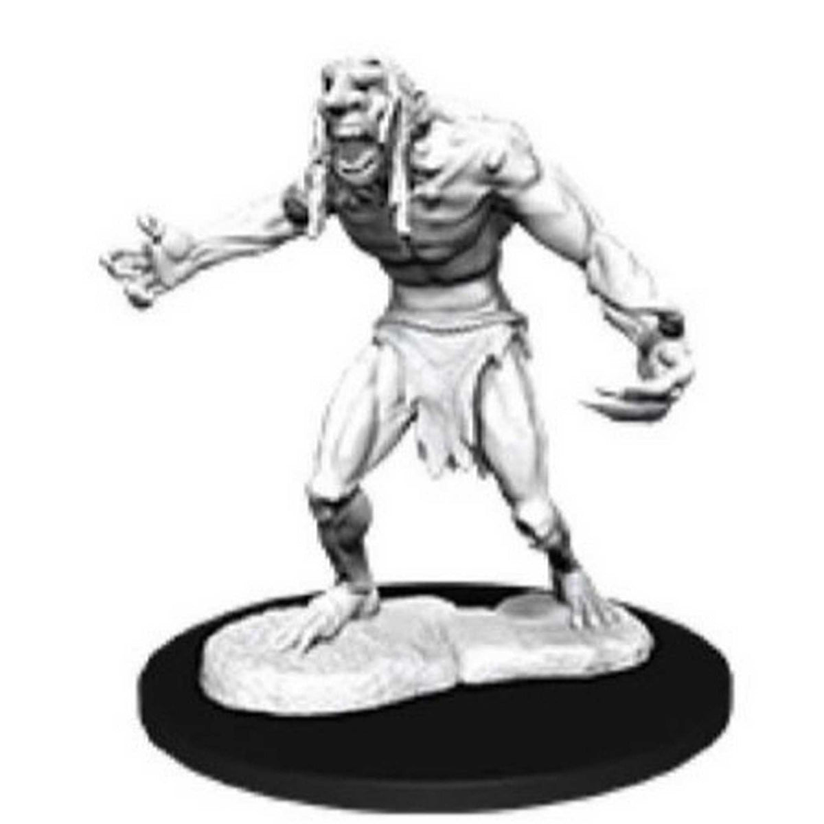 D&D Nolzur’s Marvelous Miniatures: Raging Troll