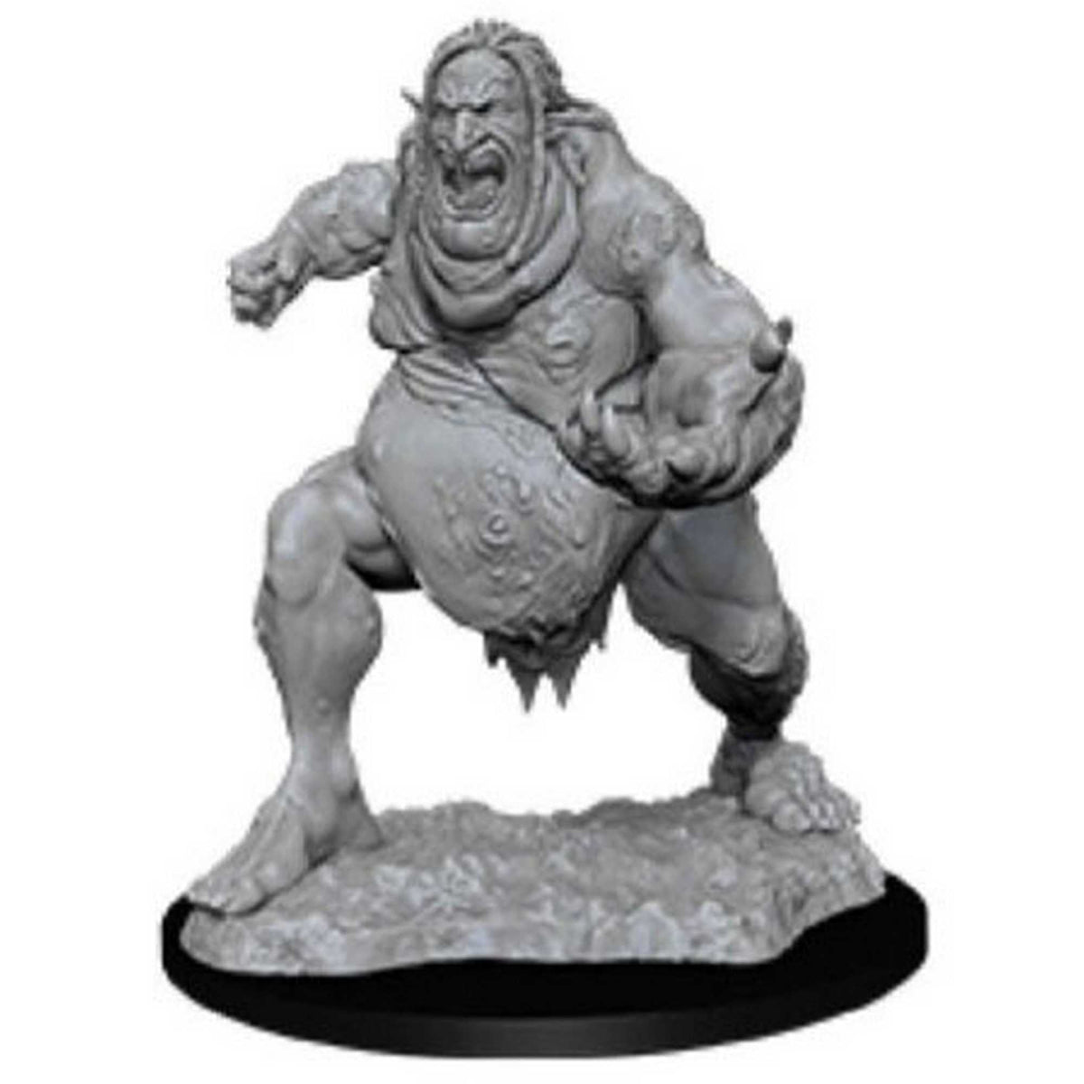 D&D Nolzur's Marvelous Miniatures: Venom Troll