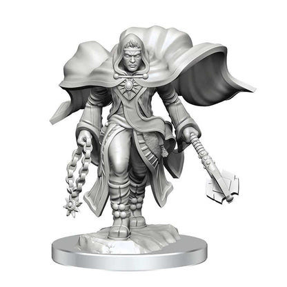 D&D Nolzur’s Marvelous Miniatures: Aasimar Cleric Male