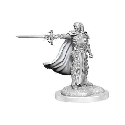 D&D Nolzur's Marvelous Miniatures: Death Knights