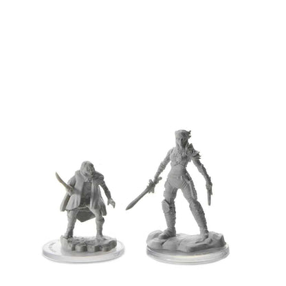 D&D Nolzur’s Marvelous Miniatures: Elf Rogue & Half-Elf Rogue Protégé