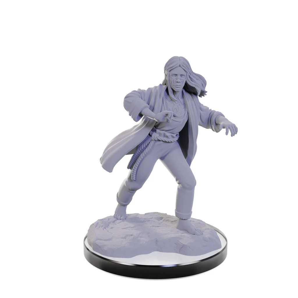 D&D Nolzur's Marvelous Miniatures: Reborn Paladin & Reborn Warlock