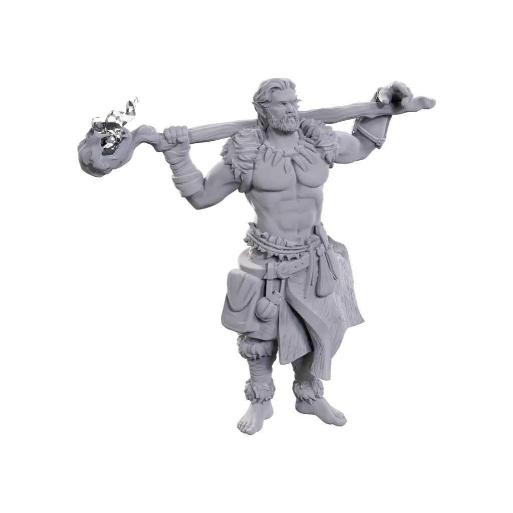 D&D Nolzur's Marvelous Unpainted Miniatures: Archdruid & Martial Arts Adept