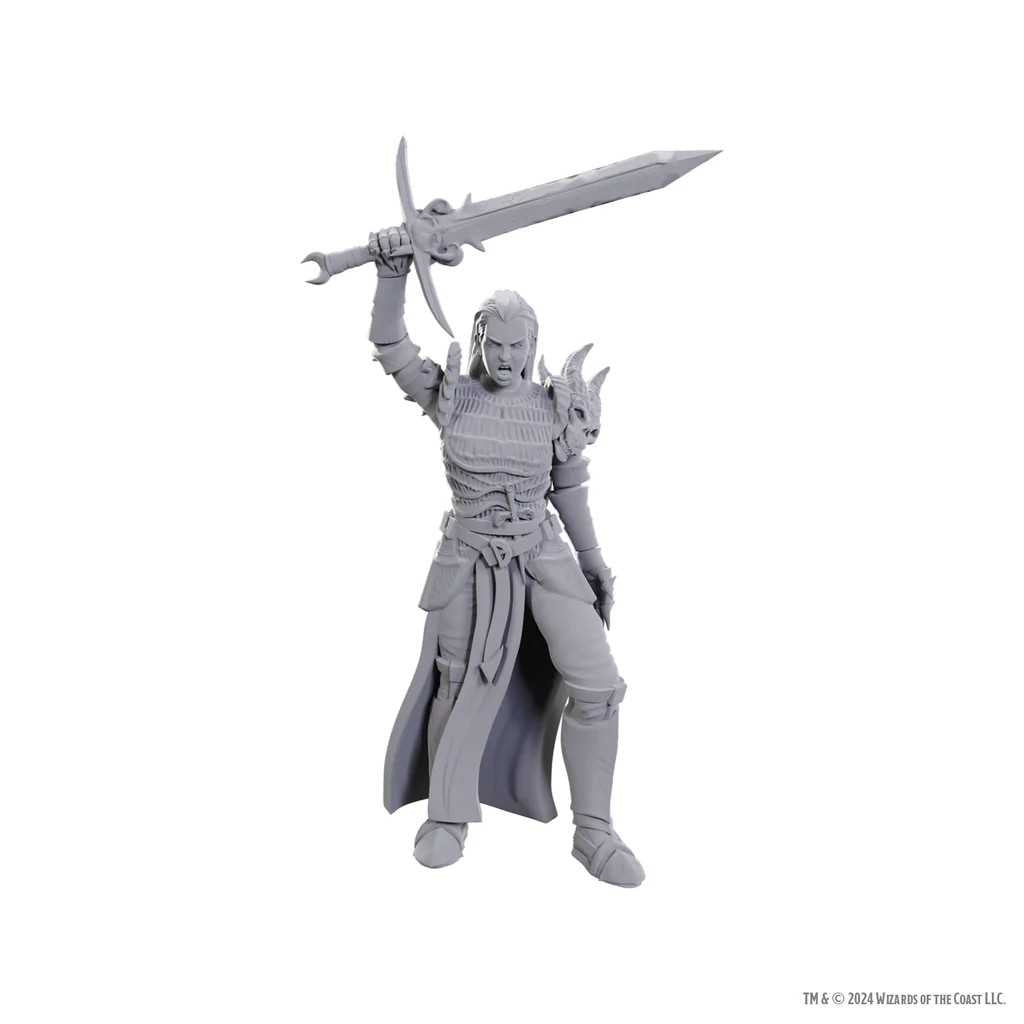 D&D Nolzur’s Marvelous Miniatures: Blackguard