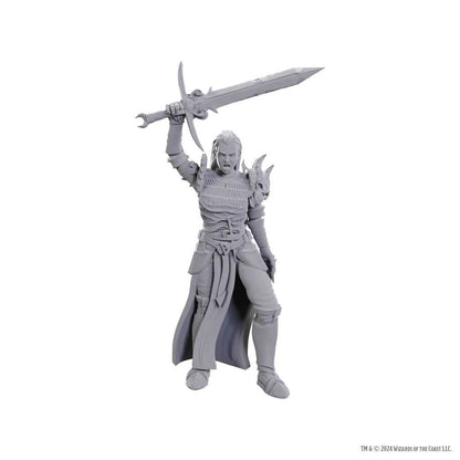 D&D Nolzur’s Marvelous Miniatures: Blackguard