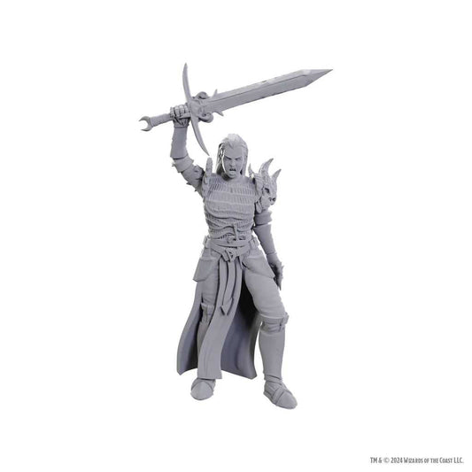 D&D Nolzur’s Marvelous Miniatures: Blackguard