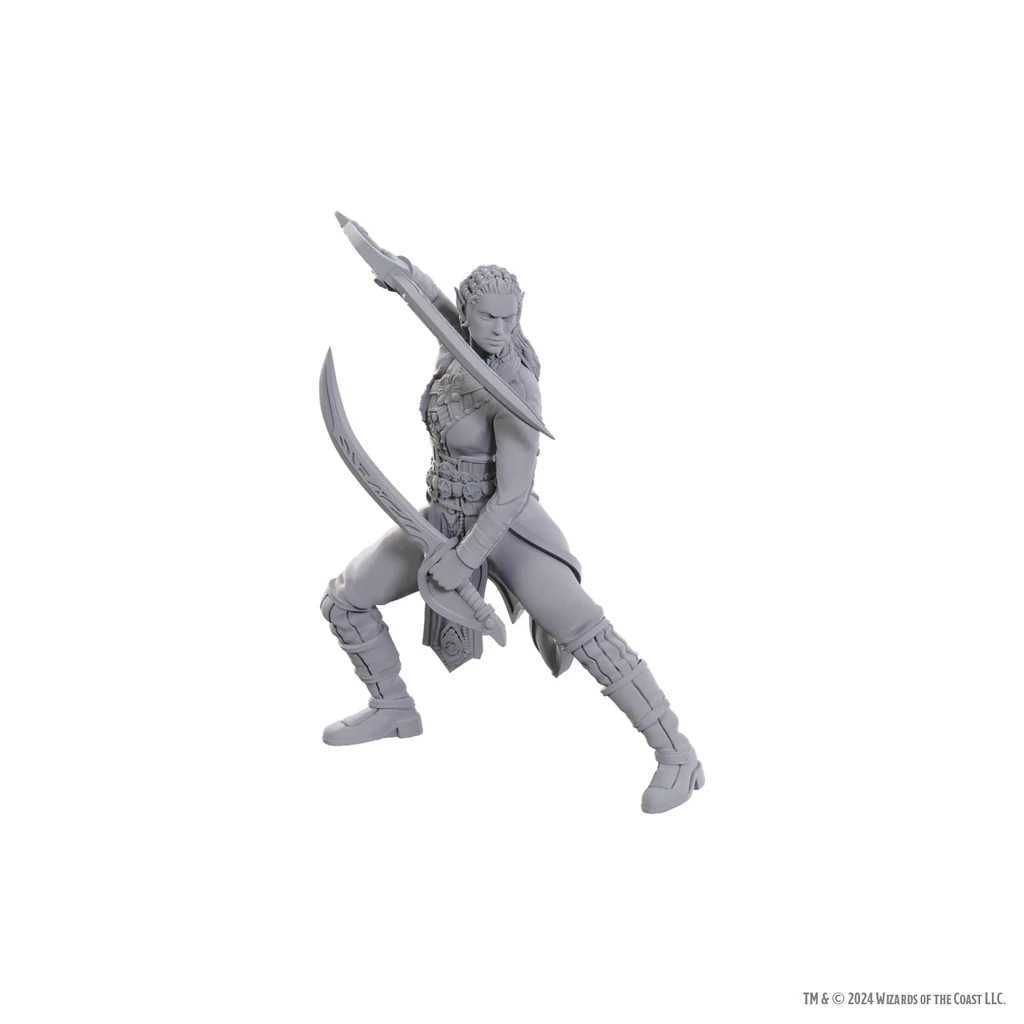 D&D Nolzur’s Marvelous Miniatures Baldur’s Gate 3 Jaheira & Halsin