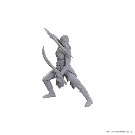 D&D Nolzur’s Marvelous Miniatures Baldur’s Gate 3 Jaheira & Halsin