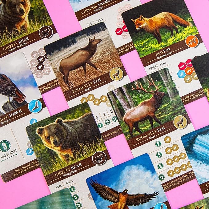 Cascadia 729220070982