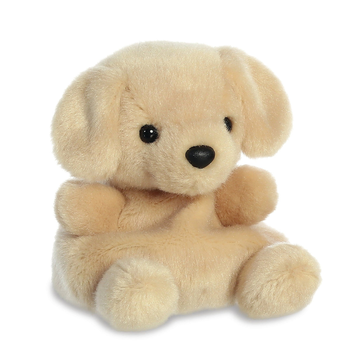 Aurora: Palm Pals Sunny Labrador Dog 5" 5034566335325