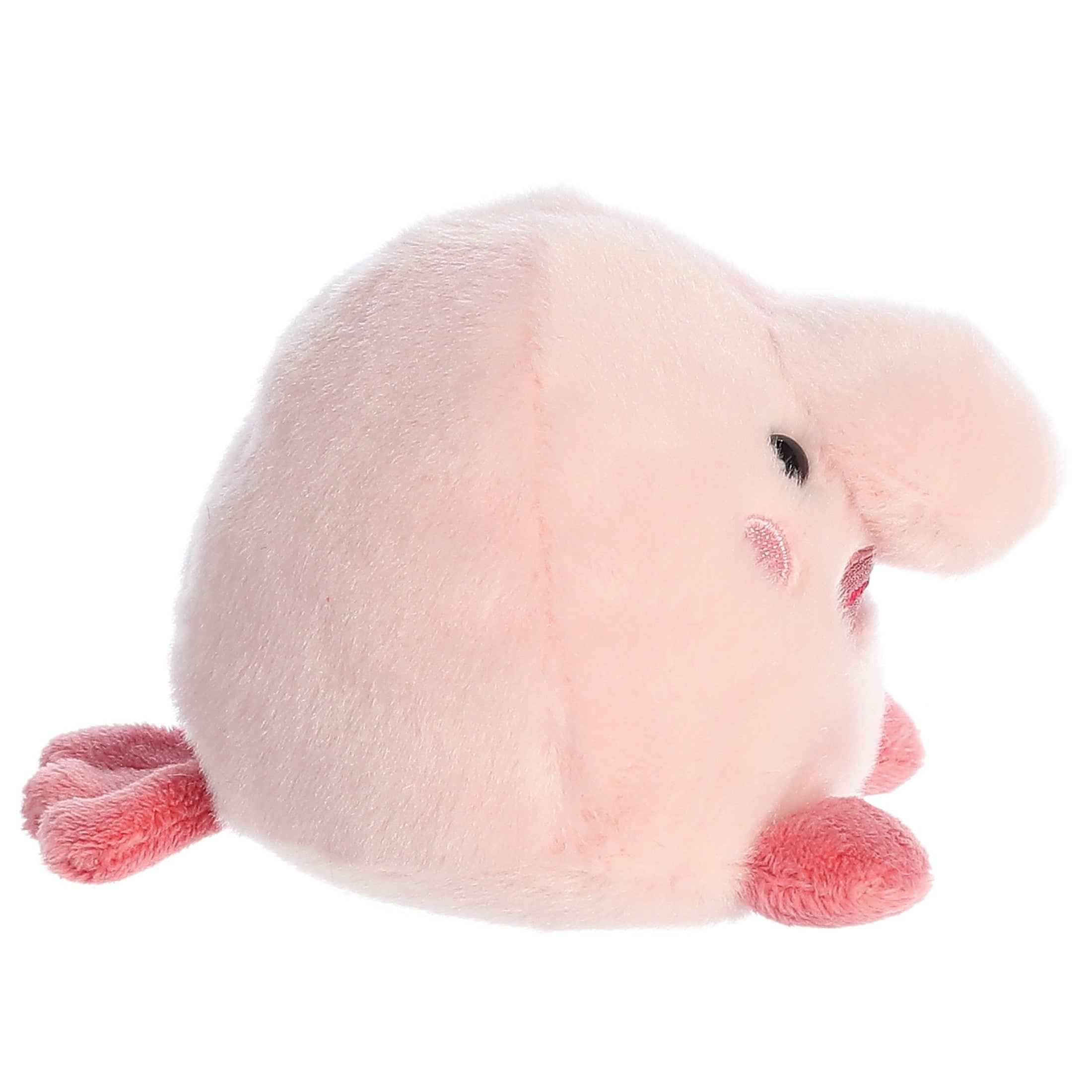 Palm Pals Bart Blobfish 5in 5034566338401