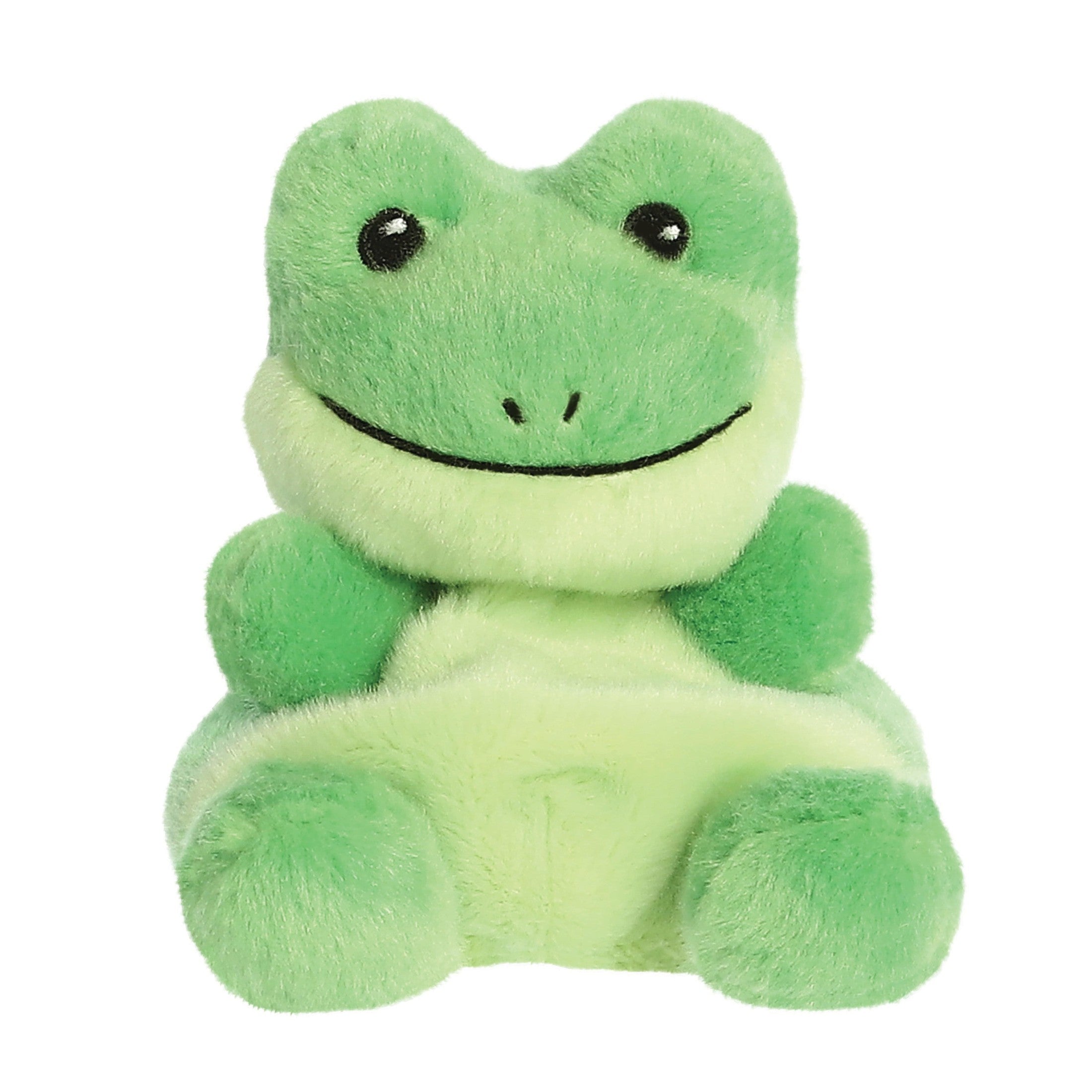 Palm Pals Ribbits Frog 5in 5034566337206