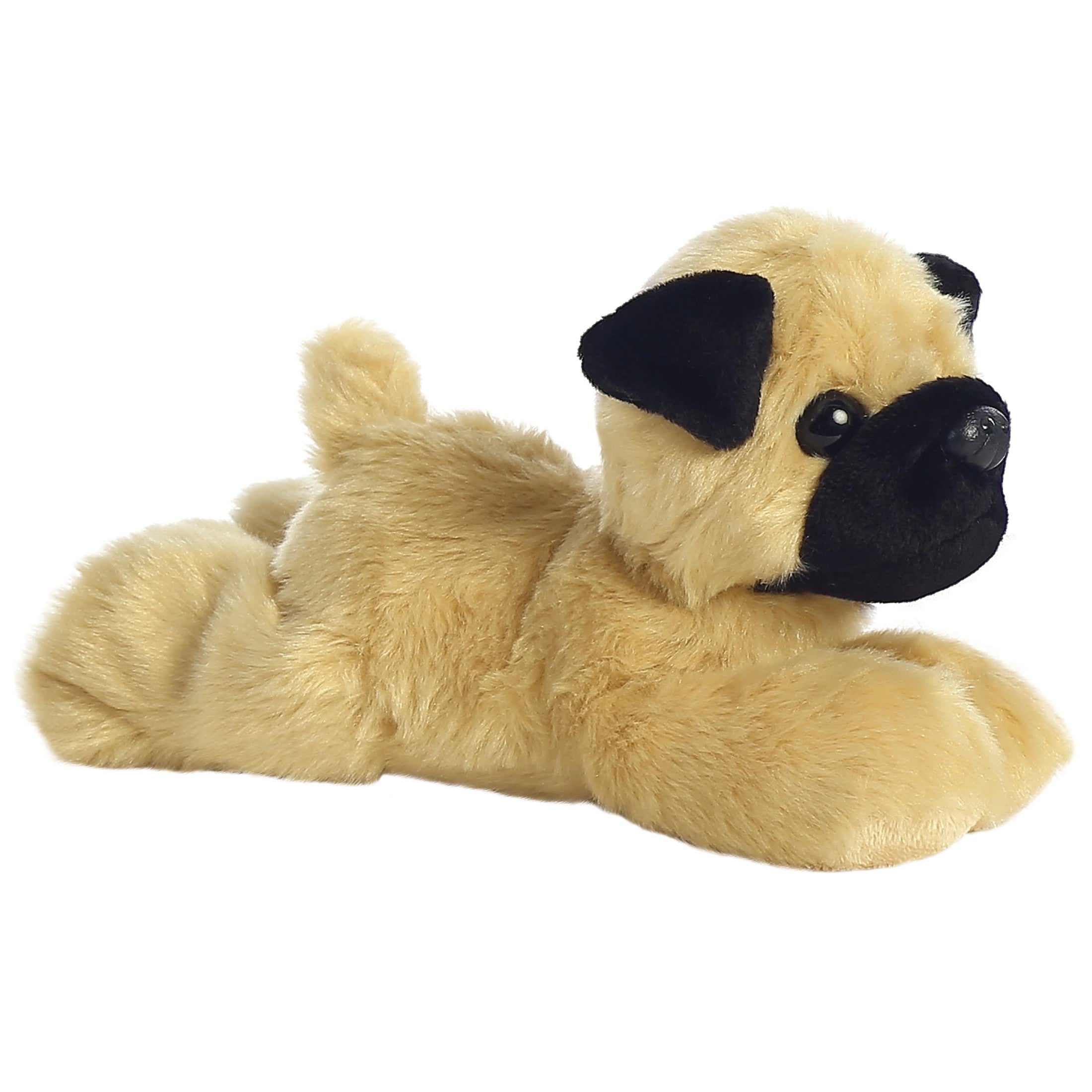 Aurora 8" Plush- Mini Flopsie- Mr Pugster Pug 5034566313699