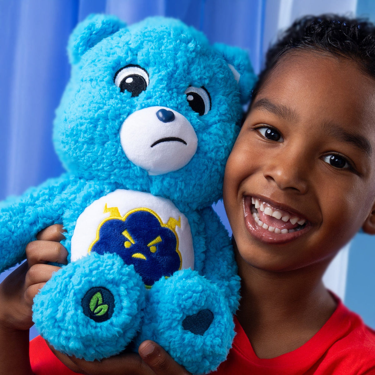 Care Bears - 35cm Cozy Grumpy Bear 885561229493