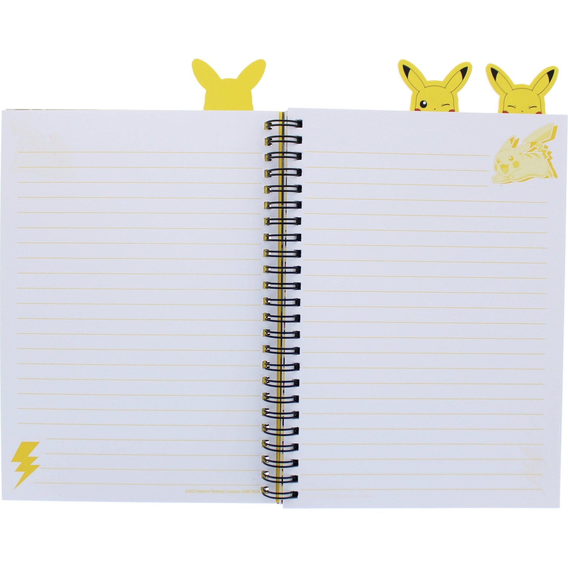 Pokemon Project Notebook