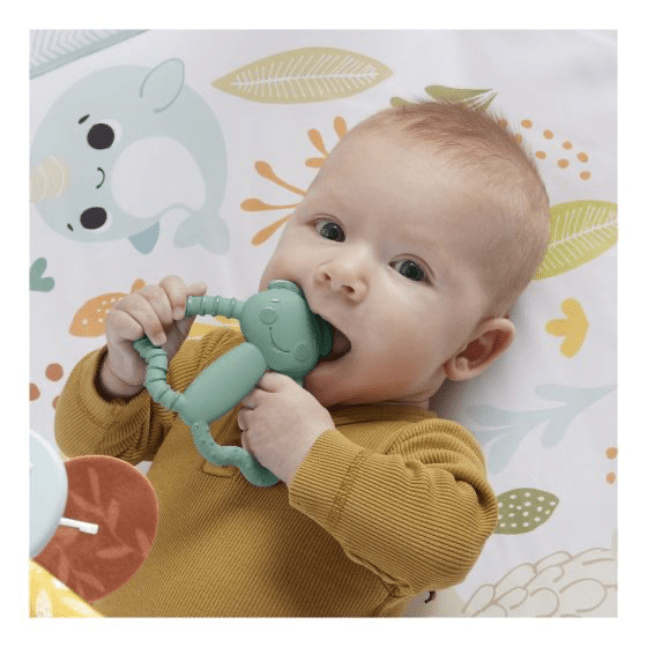 Fisher Price: Simply Senses Newborn Gym 194735171385