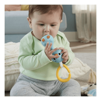 Fisher Price: Simply Senses Newborn Gym 194735171385