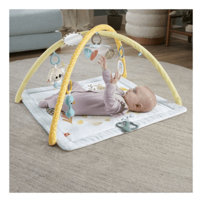 Fisher Price: Simply Senses Newborn Gym 194735171385