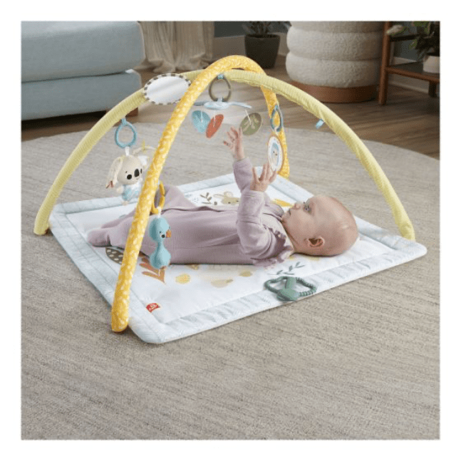 Fisher Price: Simply Senses Newborn Gym 194735171385