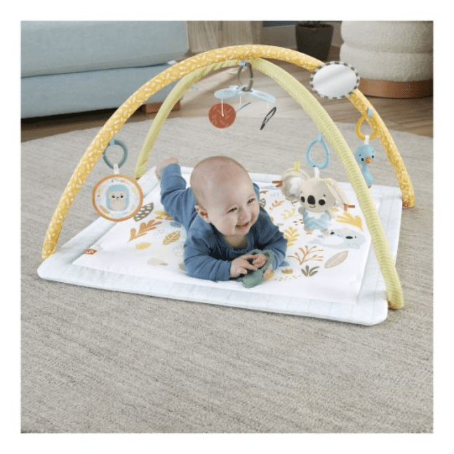 Fisher Price: Simply Senses Newborn Gym 194735171385